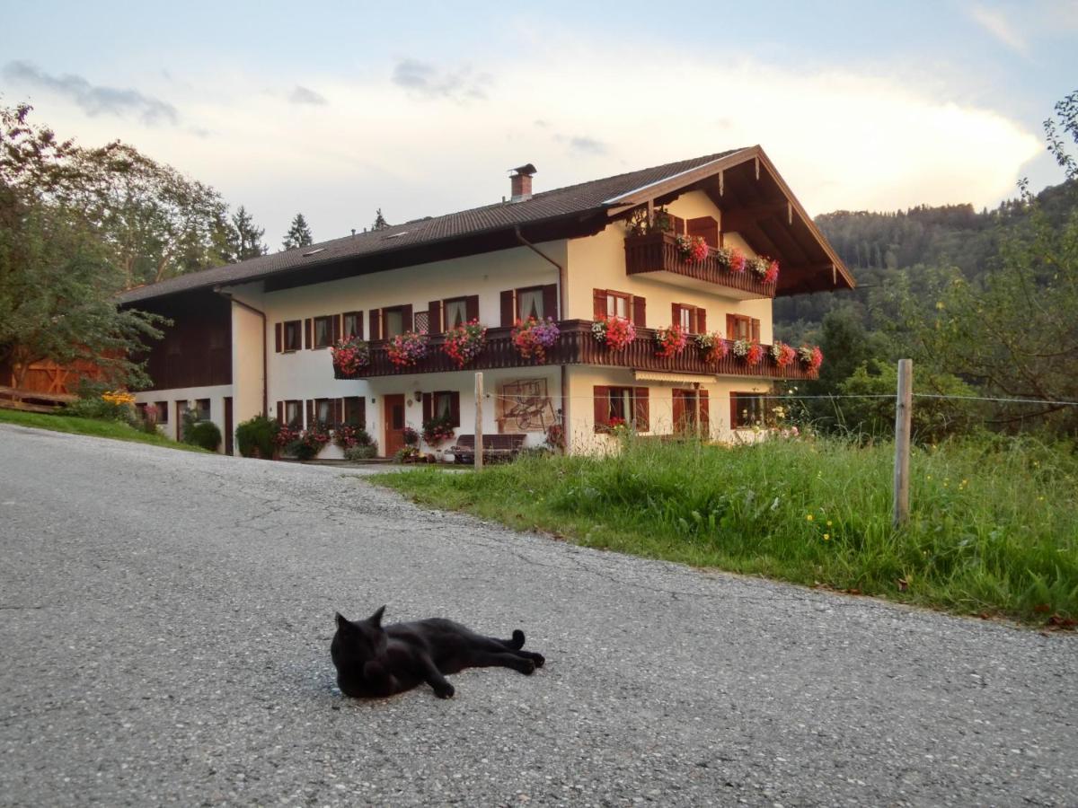 Weberhof Appartement Samerberg Buitenkant foto