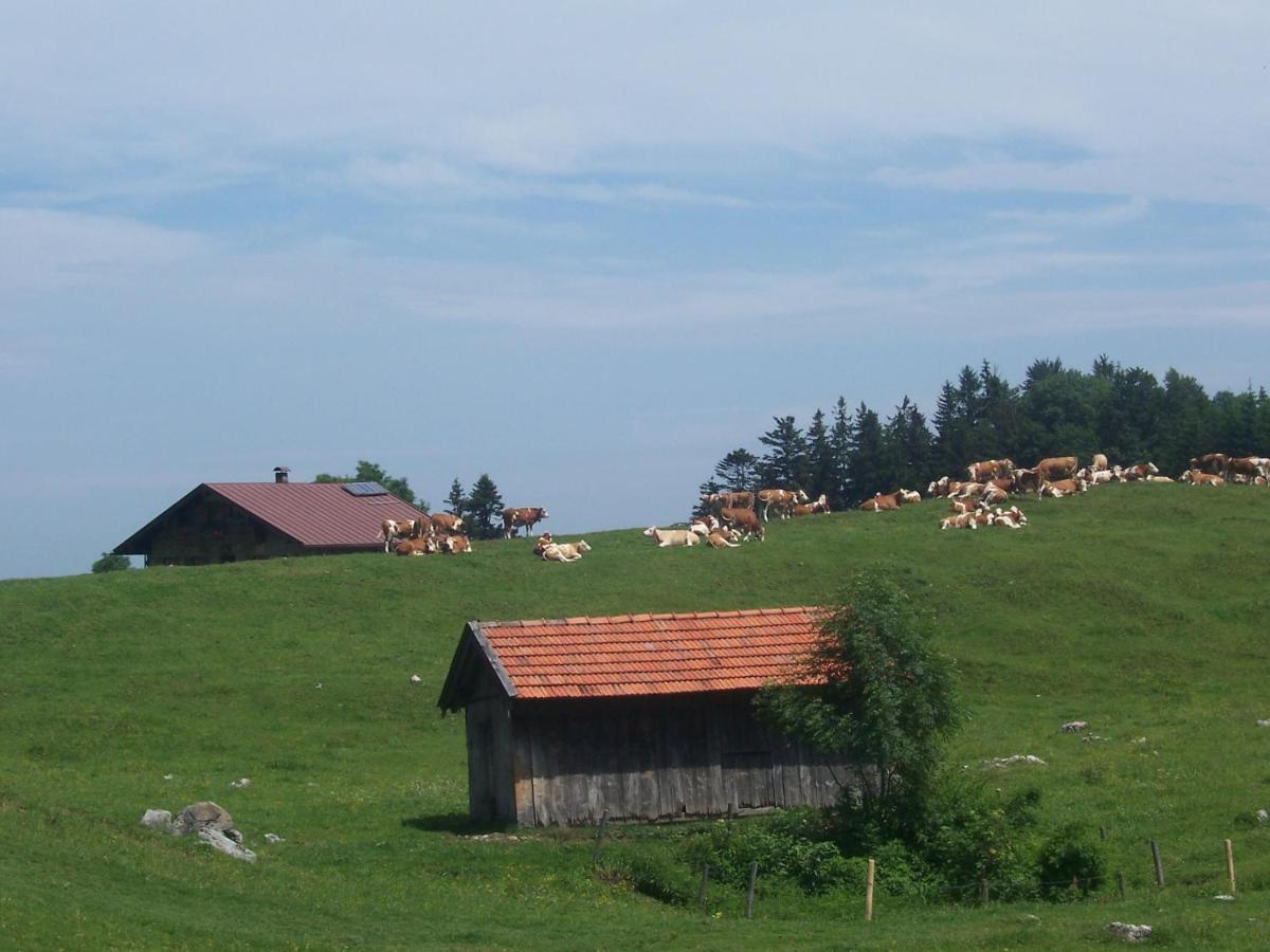 Weberhof Appartement Samerberg Buitenkant foto
